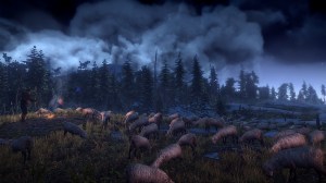 The Witcher 3: Wild Hunt - Hunt Sheep