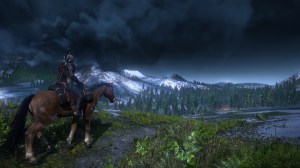 The Witcher 3: Wild Hunt - Horse