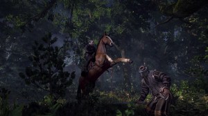 The Witcher 3: Wild Hunt - Horse Ride