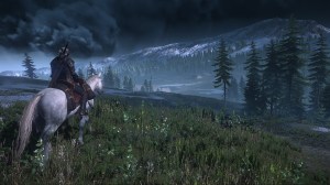 The Witcher 3: Wild Hunt - Wild Hunt Horse