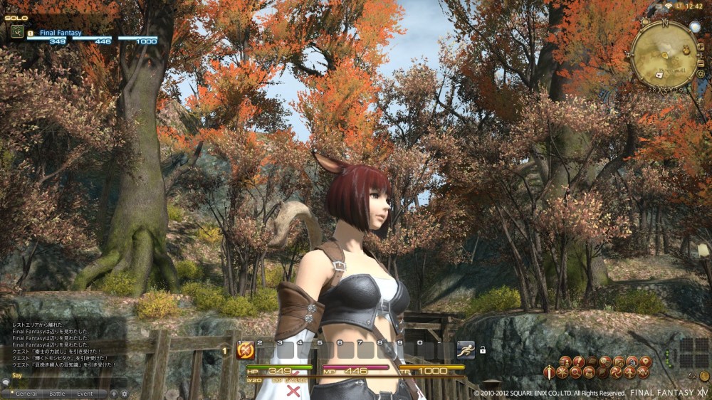 Final Fantasy XIV: A Realm Reborn - HUD