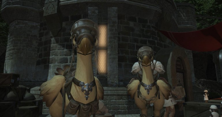 Final Fantasy XIV: A Realm Reborn - Chocobos